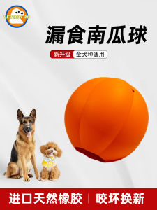 How to Choose & Use Boredom-Busting Pet Toys for Your Dog