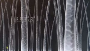 ส่งฟรี ส่งไว My Organic Hair Tonic ราคาถูก บำรุงผม 100% แฮโทนิค