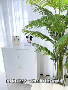 Multifunctional Storage Cabinet