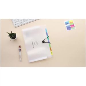 [HCM] Túi đựng tài liệu tệp đựng tài liệu nhiều ngăn kẹp tài liệu A4 đựng đề cương-Hesede