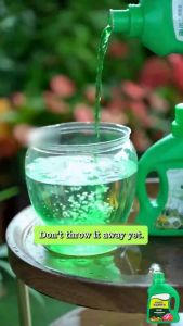 500ml Universal type nutrients solution for plants hydroponic nutrient solution for fruit vegetable flower garden fertilizer for hydroponics and potted plants