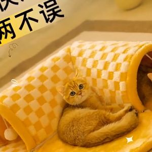 Tunnel cat nest four seasons can be dismantled and washed cat nest winter warm cat tunnel maze drilling hole autumn and winter warm cat nest