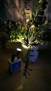 😍 Đèn cắm cỏ năng lượng mặt trời trang trí sân vườn MAYOR WOLF .