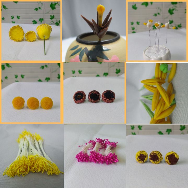 Nhị Tulip, nhị ly, nhị mai đực, nhị lan, nhim hướng dương, nhim đào ...