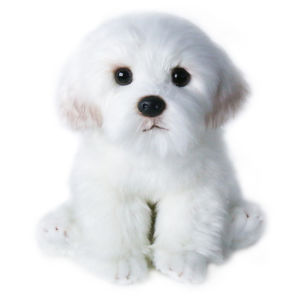 1PC Maltese Stuffed Dog Dolls Plush Toy Cute Simulation Pets Fluffy Baby Birthday Gifts Christmas Children Malzis Puppy Soft