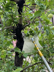 ตะกร้อสอยผลไม้(ด้ามยืดหดได้ 2.5/4M) ครบชุดที่จะช่วยคุณลูกค้าแก้ปัญหาการเก็บผลไม้บนที่สูงค่ะ(ที่สอยผลไม้ ที่สอยมะม่วง ตระกร้อสอยผลไม้ ไม้สอยมะม่วง ไม้สอยผลไม้ ที่สอยผลไม้ หัวตะกร้อผ้าสำหรับสอยเก็บผลไม้)(COD)