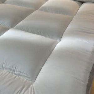 Dreamer Living Foldable Mattress Thicker Tatami Bed Sheet Mattress Topper Single/Queen/King Size Feather Velvet Soft Tilam Queen 床垫