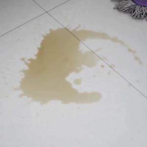 ไม้ถูพื้นหนีบผ้า ไม้ถูพื้นแบบหนีบ ไม้ถูพื้นทิชชู ไม้ถูพื้นใช้แล้วทิ้ง ไม้ถูเพดาน ไม้ทูพื้นม็อบ ไม้ม็อบหนีบผ้า