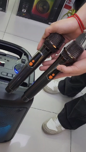 ลำโพงบลูทูธ รุ่น BTS-2480 ดอก12นิ้ว ฟรีไมค์ลอย2ตัว กำลังขับ55W รองรับAUX TF USB เสียบไมค์สายได้ เพิ่ม-ลดเสียงไมค์ได้ ปรับ-ปิดไฟได้ มีคันชักและล้อลาก