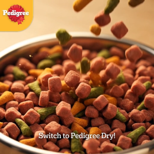 PEDIGREE Adult Dry Dog Food Beef and Vegetable Flavor 10kg