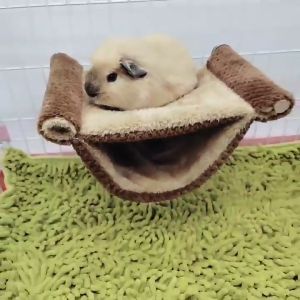 Animal KOKO 🎀 เปลผ้า 2ชั้น ติดกรง สัตว์เลี้ยง ชินชิล่า กระรอก ชูก้าไกลเดอร์ แกสบี้ guinea pig แฮมสเตอร์