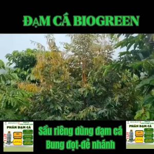Đạm cá phân cá vi sinh nguyên chất siêu dinh dưỡng BIOGREENvh  tăng trưởng cho cây cảnh lá hoa lan sen đá dâu tây rau sạch sân vườn ngoài trời chai 1000ml