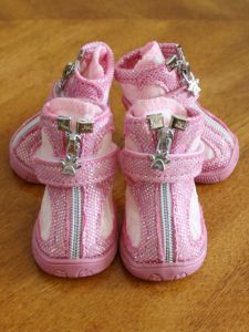 Jiameli New Spring Summer Pet Shoes Dog Colorful Breathable Mesh Shoes Anti-slip Wear-resistant Shoes 24 Year New