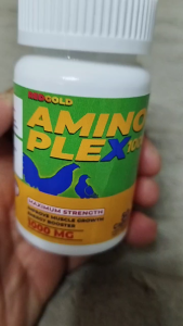 AMINOPLEX1000 | Amino Acid supplement for Horse Chicken & Pigeon