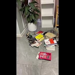 Steel Multi-level Bookshelf