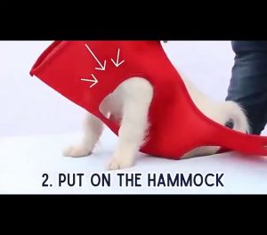 Grooming Hammock Kucing Grooming Bag / Hammock Assistant For Help PetS Nail Cutting