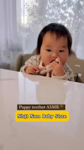 Gặm nướu Silicone Puppy HEORSHE siêu mềm kèm hộp đựng vệ sinh thương hiệu Mỹ cho bé từ 6M - Nhật Nam Baby Store
