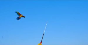Cartoon Fish Butterfly Eagle Kite for Kids - Outdoor Flying Toy with Handle & 30m String Childrens Beach Park Activity Gift