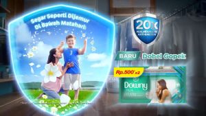Downy Pelembut & Pewangi Pakaian Konsentrat +PLUS Anti Apek 24 Sachet x 10ml