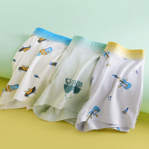 Ice Silk Boys Underwear Thin Flat Angle Briefs Comfortable Breathable Summer Inner Pants for Children Teens And Tweens