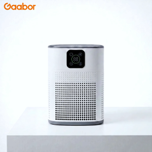 【New】Gaabor Air Purifier H13 Composite Filter High Efficient Purification Low Noise Easy Operation