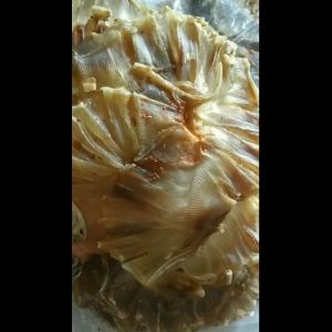 [HCM]1KG Khô Cá Đuối Loại Ngon Chính Gốc PHAN THIẾT-BÌNH THUẬN