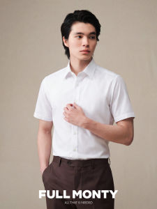 Non-iron Stretch Anti-wrinkle Mens Business Casual Shirt