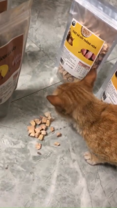 Gà viên sấy khô Nutricats 100g – Snack bổ sung dinh dưỡng hỗ trợ sức khỏe cho chó mèo