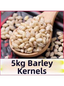Freshly Harvested Dehulled Barley 5斤