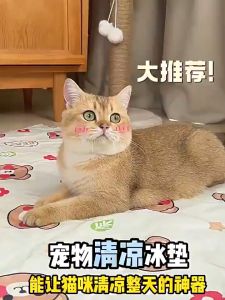 【Natasal】ที่นอนเจลเย็น 40/50/70cm ที่นอนสัตว์เลี้ยง แผ่นเจล แผ่นเจลเย็นแมวสุนัข เหมาะสำหรับฤดูร้อน ทําความสะอาดง่าย