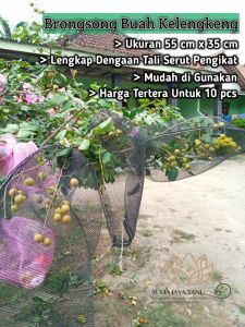 Bungkus Buah di Pohon Ukuran 35 x 55 cm Lengkap Dengan Tali Pengikat Brongsong Buah Klengkeng Matoah Dll