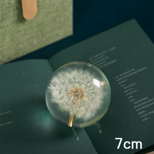 Fantastic Flower Crystal Ball Magic Atmosphere Decorate Anywhere Fantastic Ball Birthday Christmas Gift Bedroom Decoration