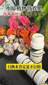 Dinh Dưỡng Đặc Biệt Cho Cây Thủy Sinh - Kích Rễ Bật Chồi Sạch Nước Kháng Khuẩn - Phân bón cây Thủy Sinh 100ml