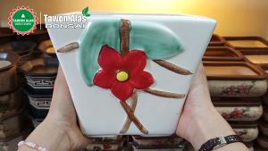 Pot Bonsai Keramik Bunga Unik Cantik
