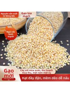 Gạo Nếp Trắng Hạt Mới Đóng Gói Độc Lập