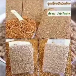 Organic Brown Jobs tear 200g/800g