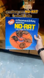 กาวดักหนู กาวดักหนูแบบถาด กาวดักหนูสำเร็จรูป ON- RAT ชุดละ 2 แผ่น ชนิดสำเร็จรูป แผ่นใหญ่ กาวเยอะ ติดแน่น พร้อมจัดส่ง