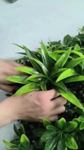 Tấm Thảm Cỏ Nhân Tạo Xanh Tươi Trang Trí Tường Giả Rừng Dùng Cho Nhà Cửa Vườn Sân Ngoài Trời Đám Cưới Giáng Sinh - Tấm Thảm Cỏ PVC