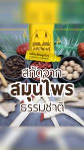 เครื่องดื่มสมุนไพร เถาวัลย์เปรียงผสมเห็ดหลินจือ ตรา เจดีย์ทองคู่ 6ขวด