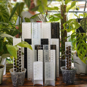 Water Moss Column Wall/Pillar Brother Epiphyte Plant Climbing Vine Climbing Column/New New Arrival Can Be Extended by Patchwork Adjustable Size