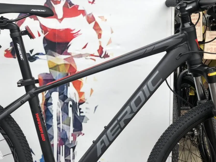 Aeroic Warrior 450 Aeroic Bike Company AEROIC WARRIOR 650 1x10Spd