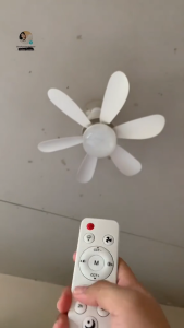 E27 Screw Base 52cm 40W 6 Blades Varibale Speed Ceiling Fan Light Dual Use Lighting Fan for Home Bedroom Living Room Easy Installation