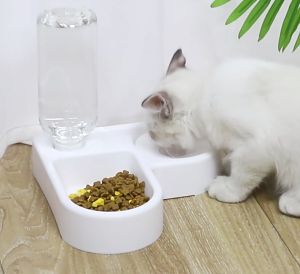 2 in 1 Pet Cat Dog Auto Feeder Food & Water Bowl Kucing Anjing Auto Feeder Mangkuk Makanan & Air 多功能带水瓶墙脚猫碗 爱心自动饮水墙面转角宠物碗