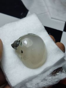 Akik keong buntet putih original batu