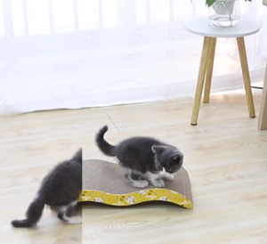 M-Shape Cat Scratcher Corrugated Cat Paw Board Multi Form Cat Scratch Board Grinding Cat Supplies Cat Toy