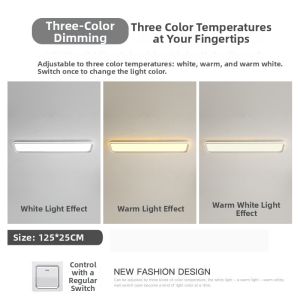 Modern Simple Creative LED Ceiling Light