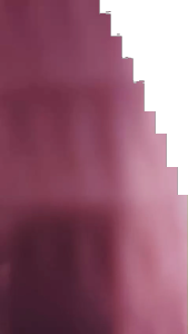 Sisir Grooming Perawatan Kucing Anjing Pet Brush Tombol Otomatis