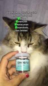Clever Solutions - DIAREFIX (Obat Diare dan Mencret Kucing Obat Kucing Anti Diare Mencret Cat Kitten Kucing Perawatan Kucing Obat Kucing Mencret Diare Muntah Demam)