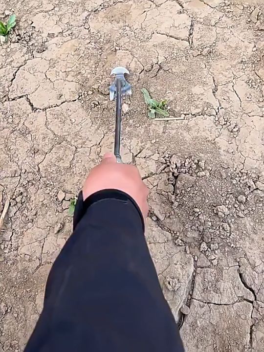 Fun Frog คราดโลหะ 4 ฟัน กำจัดวัชพืช พรวนดิน