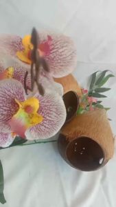 Glodok Burung Kutilang dari Batok Kelapa / Sarang Burung Lovebird